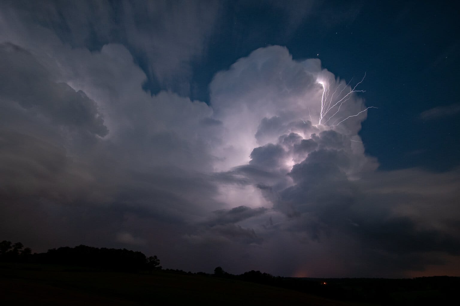 Henri Buffetaut portrait