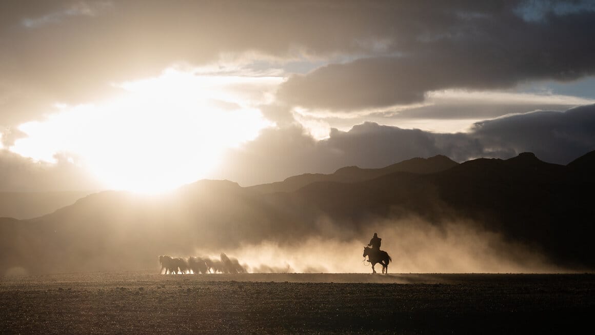 At sunset in the Altai Mountains of western Mongolia, a rider guides a herd of horses across the rugged terrain © Claire Thomas