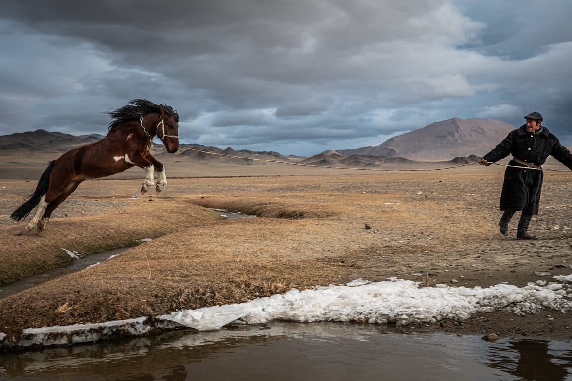Un cheval saute par-dessus un petit ruisseau dans les montagnes de l'Altaï, dans l'ouest de la Mongolie.