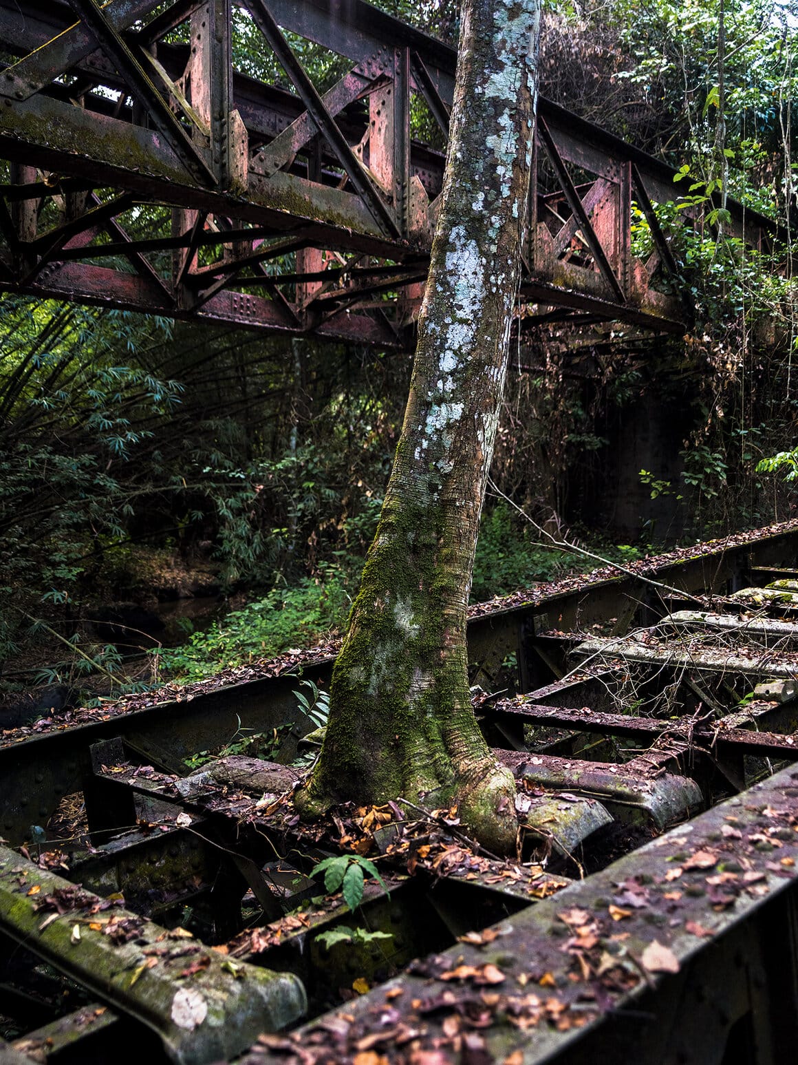 Rubino, Côte d'Ivoire, 2024 © François-Xavier Gbré