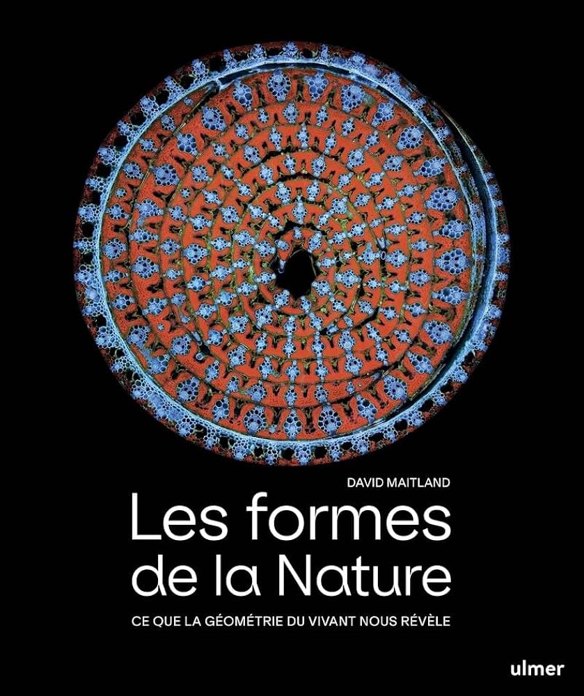 Les formes de la nature : ce que la géométrie du vivant nous révèle