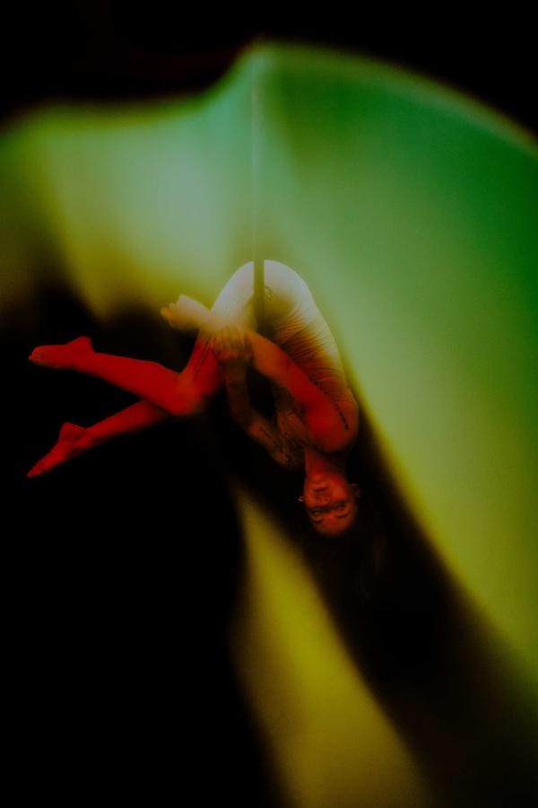 portrait flou par Sarah Fuchs trapèse