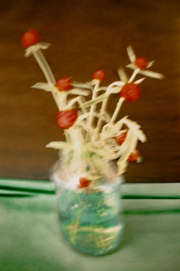 photo de fleurs avec filtres couleurs et flou