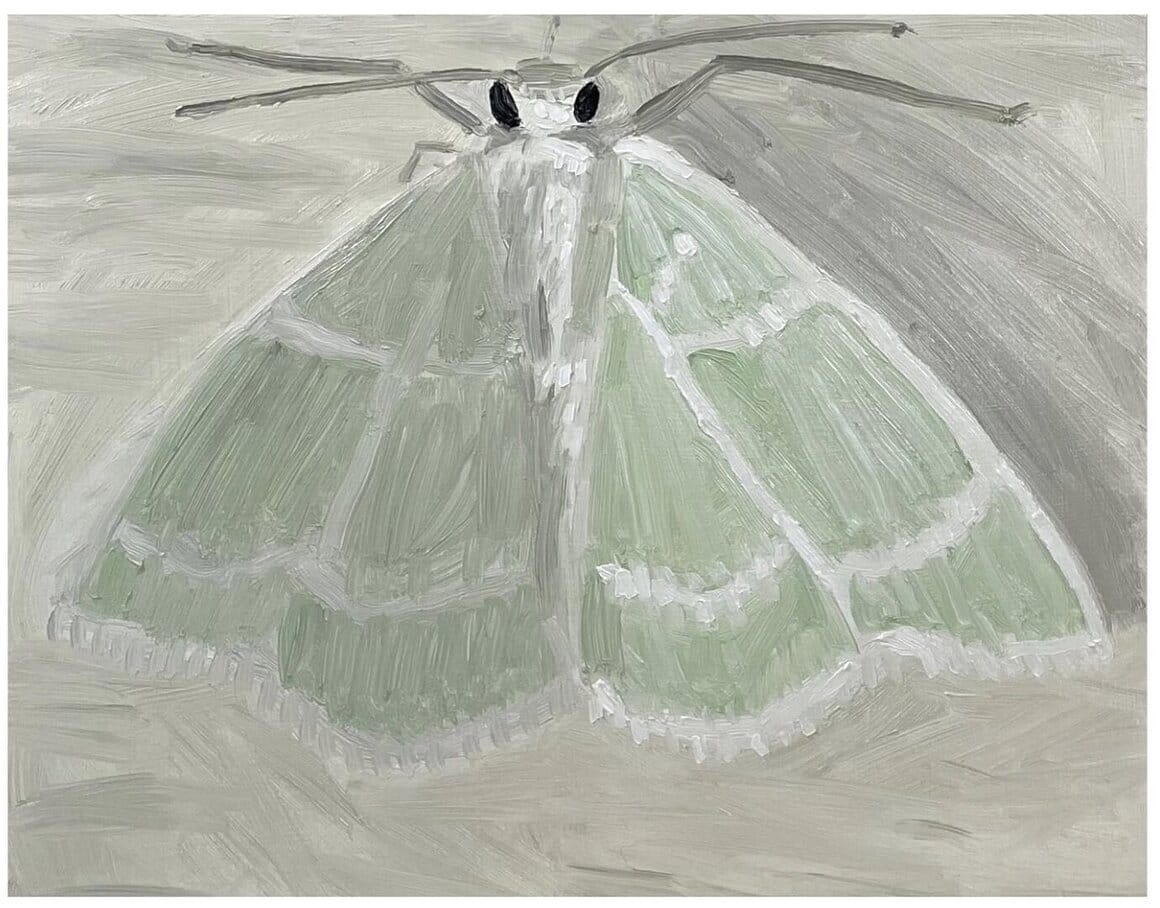 Peinture à l'huile d'une mite verte par Claudia Keep