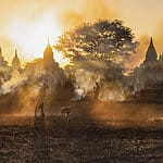 Un seul monde, une seule humanité