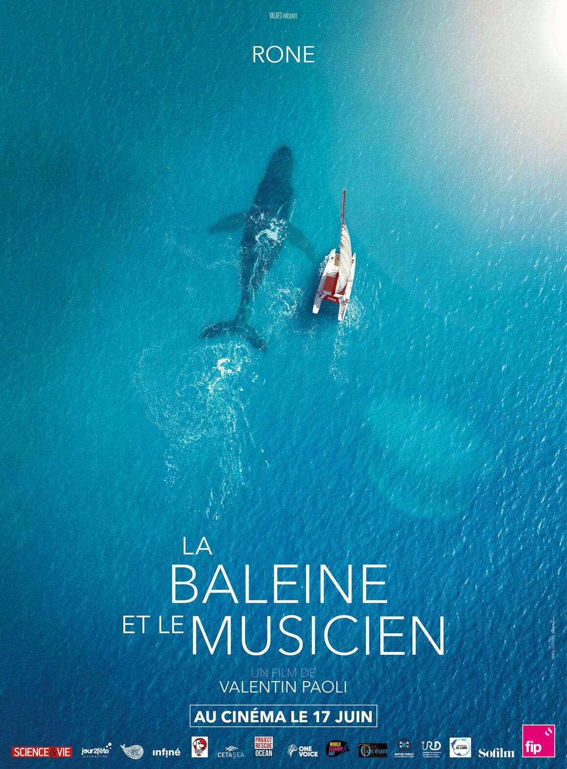 Affiche du documentaire de Valentin Paoli « La Baleine et Le Musicien »