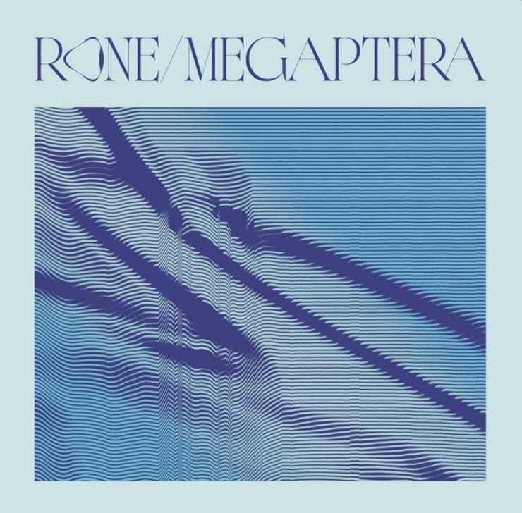 Cover utilisée par Rone pour représentée l'essence de son nouvel album « Megaptera »