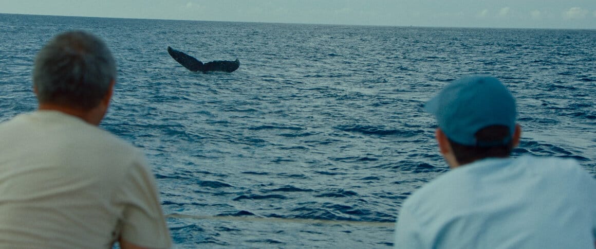 Rone observant une baleine durant son voyage pour composer son album
