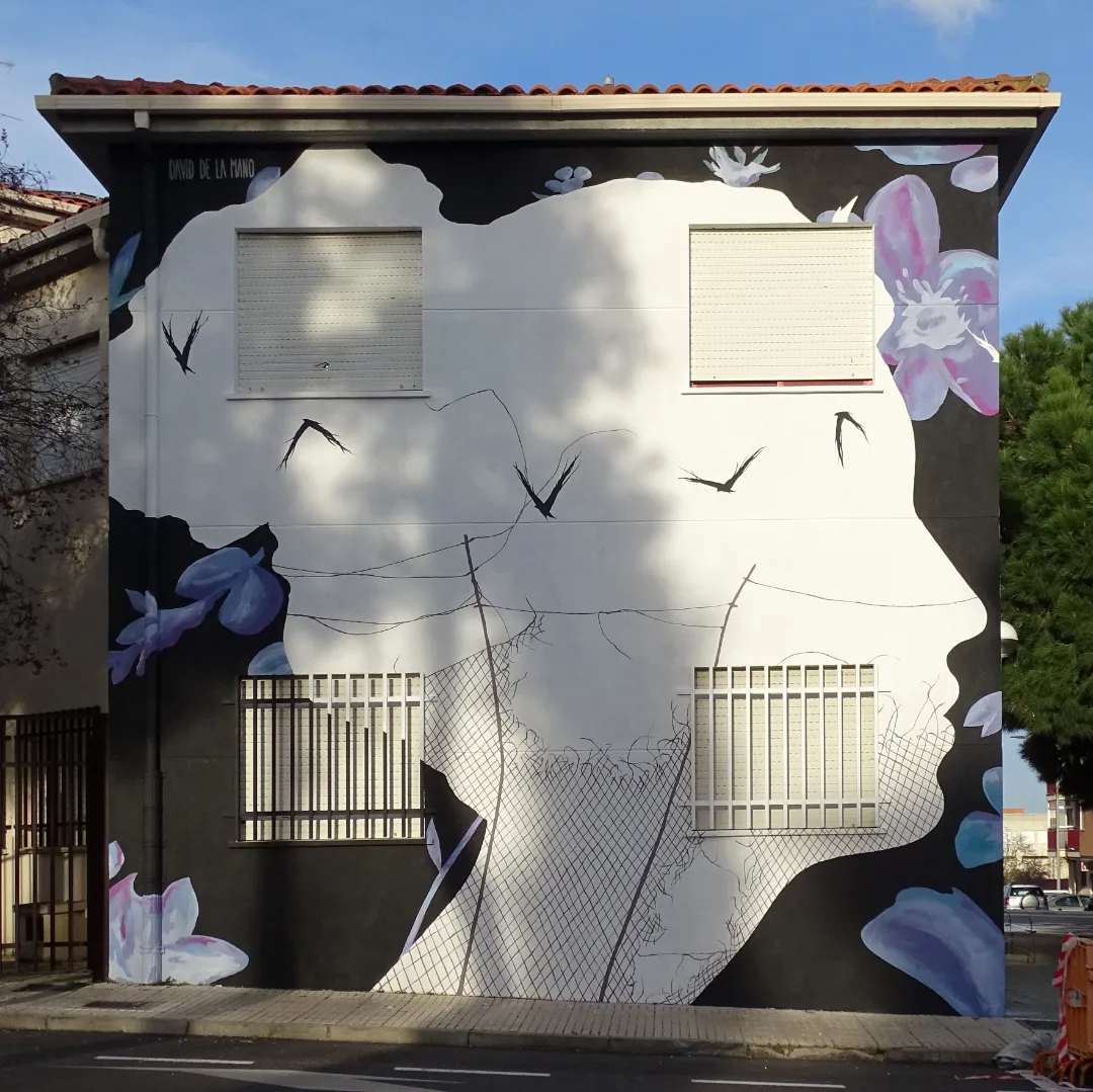 Fresque réaliser par la street artiste David de la mano. "Open Wound 1" représente le visage d'une femme avec des oiseaux lignifiés dessus. La fresque est réaliser dans le but de sensibiliser sur les violence faites aux femmes