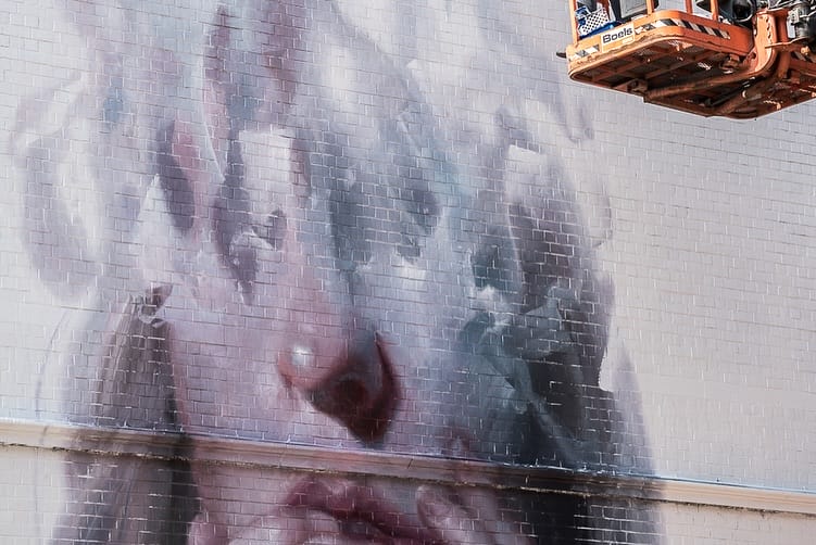 Fresque représentant un visage monumental dont les contours se dissolvent dans des effets de matière.