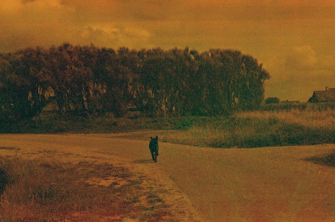 you’ll get there / 2025 (2026)