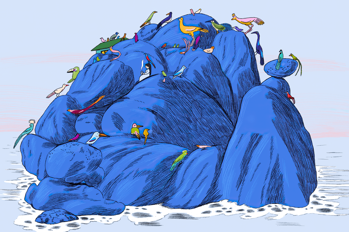 une ile avec des oiseaux multicolores